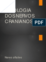 NERVOSCRANIANOS.pdf