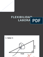 Flexibilidad Laboral