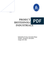 90972368 Proiect Biotehnologii Industriale