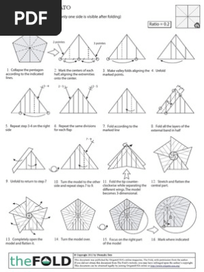 The Fold 19 Naomiki Sato Rose Diagram