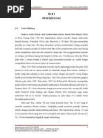 Download ulkus dm by ErmayHayuPuspitasari SN270321598 doc pdf