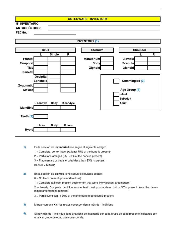 Osteoware Skeletal Inventory Form | PDF | Vertebra | Pelvis
