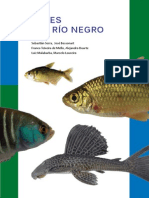 Guia de Peces de Rio Negro