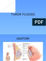 Tumor Filoides