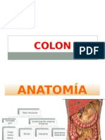 Colon y Patologías 