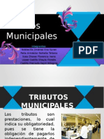 Tributos municiaples