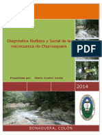 Diagnostico Biofísico y Social de La Microcuenca Río Churrusquera