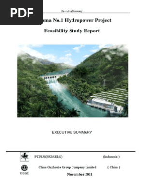 EXECUTIVE SUMMARY