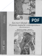 20 Poetas Mapuches Contemporáneos