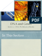 DNA and Genes Presentation - Biology Chapter 11