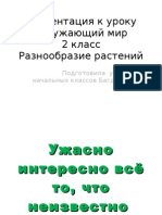 Презентация к уроку окружающий мир 2 класс