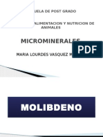 Micro Mineral Es