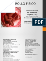 Desarrollo Prenatal