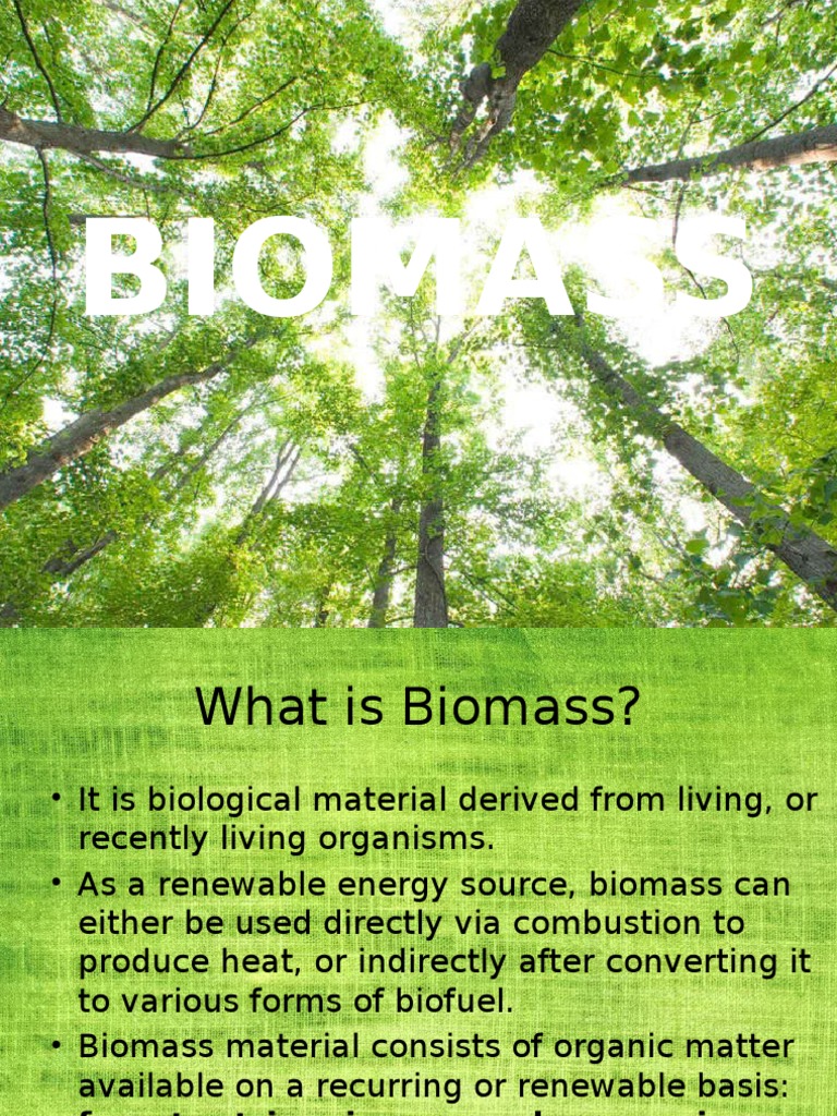 Biomass Biomass Air Pollution