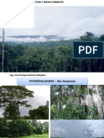 Apicultura y Medioambiente - Alto Amazonas