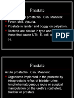 prostate path