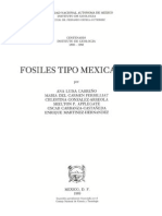 Fósiles Tipo Mexicanos