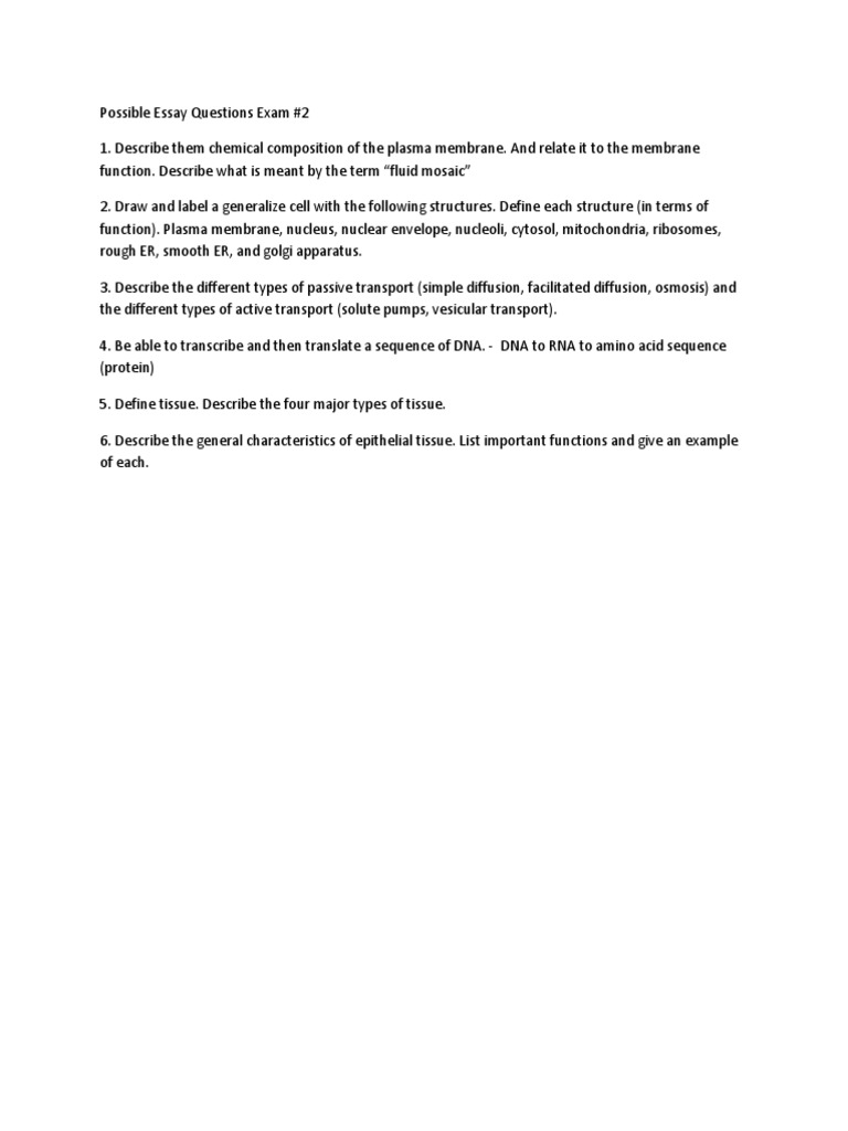 Possible essay questions image