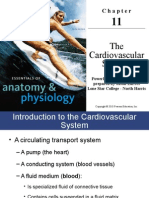Blood PPT With Cardiovascular System