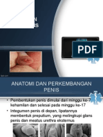 Fimosis Dan Parafimosis