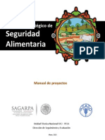 Manual Proyectos Pesa PDF