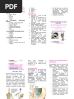 Triptico de Neurologia Diabetica