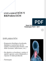 Inflamacion y Reparation