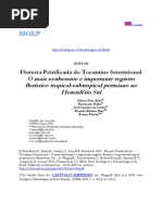 Arvores_fossilizadas_TO