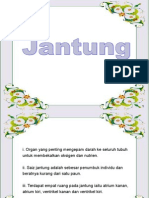 57016349-jantung