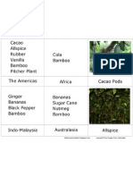 3 Part Card Rain Forest Plants Page1 PDF