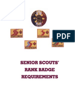 Senior Scouts Advancement Review and Merit Badge