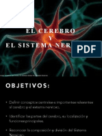 El Cerebro y Sist Nervioso Psic 1052 INTER