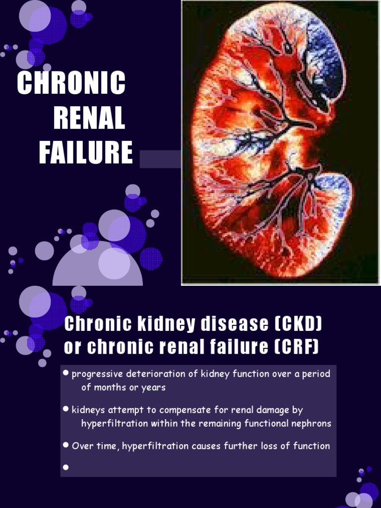 Understanding Chronic Renal Failure | PDF | Chronic Kidney Disease ...