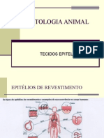 Bio Histologia Animal