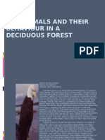 Deciduousforest Animals