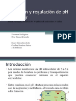 Detección y Regulación de PH en Cáncer