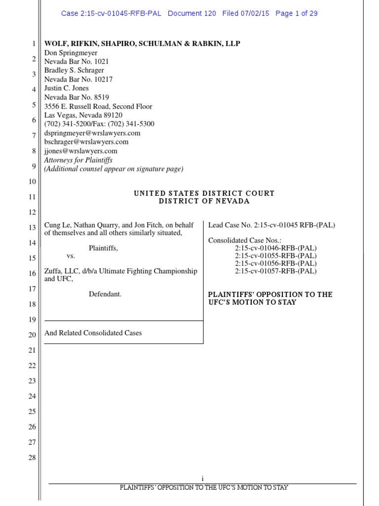 Response To Motion To Stay Discovery Pleading Federal Rules Of Civil Procedure