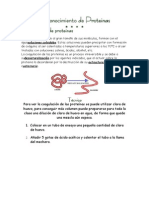 Prácticas Para Identificar Proteínas