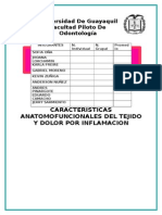 clases del dolor y tipos de inflamacion