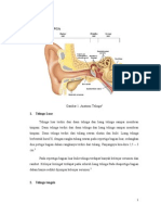 Anatomi Telinga Dan Fisiologi Pendengaran