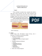 Laporan Pendahuluan Hernia