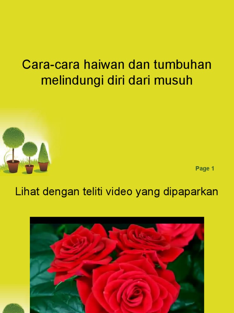 Nota Sains Tahun 5 Unit 3 Proses Hidup Haiwan Chang Tun Kuet