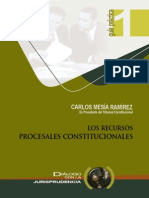 Los Recursos Procesales Constitucionales