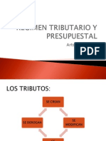 Regimén Tributario y Presupuestal