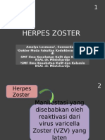 Herpes Zoster Ppt