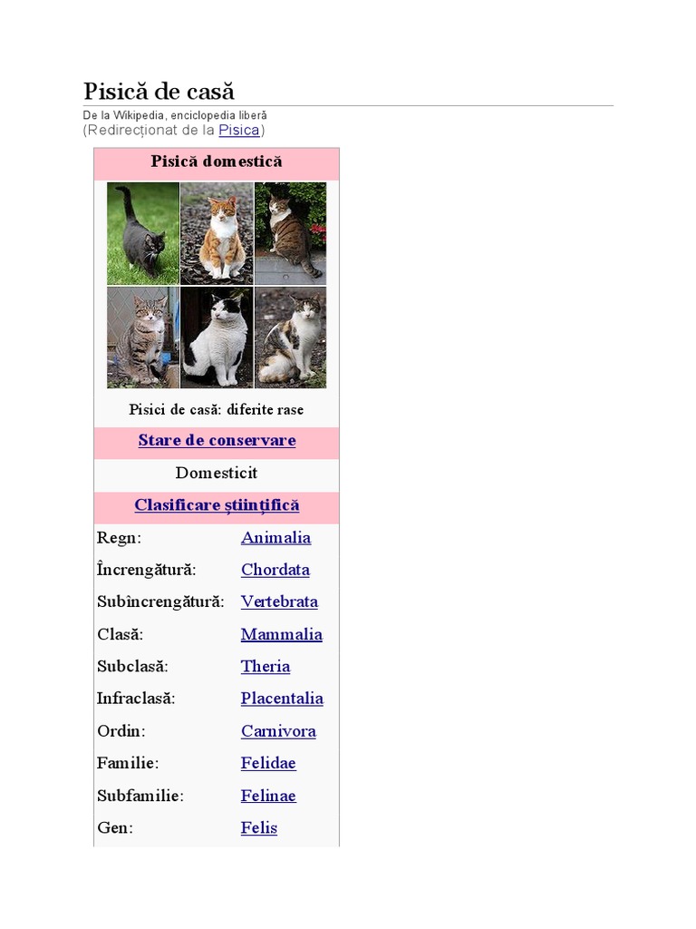 Pisică de Casă  PDF
