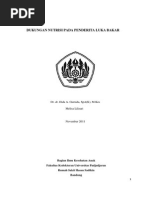 Dukungan Nutrisi Pada Luka Bakar PDF