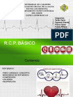 Seminario RCP 