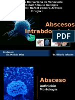 Abscesosabdominales 111030153045 Phpapp01