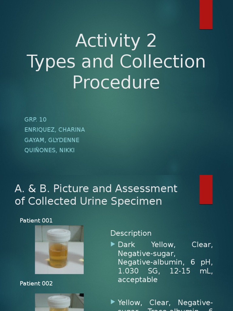 Activity 2 Urine Types Collection and Procedures Renal Function Urine